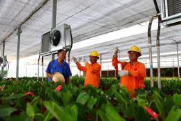 傾力服務(wù)生態(tài)農(nóng)業(yè) 開(kāi)辟用電“綠色通道”