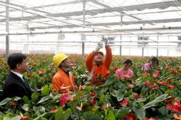 用心服務農(nóng)業(yè)科技示范園用電