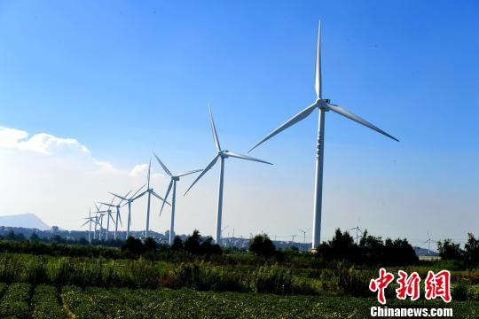 莆田沿海整齊的風(fēng)力發(fā)電設(shè)備。　王東明 攝