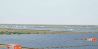 印度最大太陽能公園200MW子項目招標(biāo)將重啟