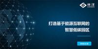 國家能源互聯(lián)網(wǎng)大會|林洋能源總經(jīng)理方壯志: 打造基于能源互聯(lián)網(wǎng)的智慧低碳<font color=