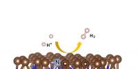 中國(guó)科大在碳基材料電催化析氫研究方面取得新進(jìn)展