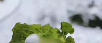 氣荒之后，又輪到了電煤供給的緊張局面