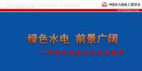 水力發(fā)電工程學會：我國水電規(guī)劃和發(fā)展前景的技術報告