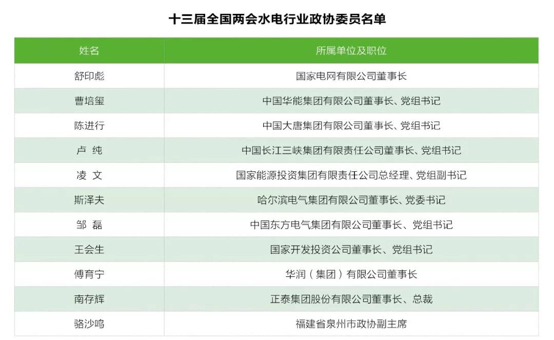 兩會觀察｜水電篇：消納難題何解？