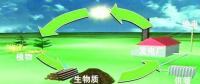 生物質(zhì)是替代核電、火電 彌補(bǔ)天然氣缺口的一種重要新能源