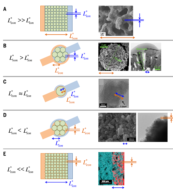 中大朱昌寶&德國(guó)馬普所Maier Science綜述：電池電極的納米級(jí)電路