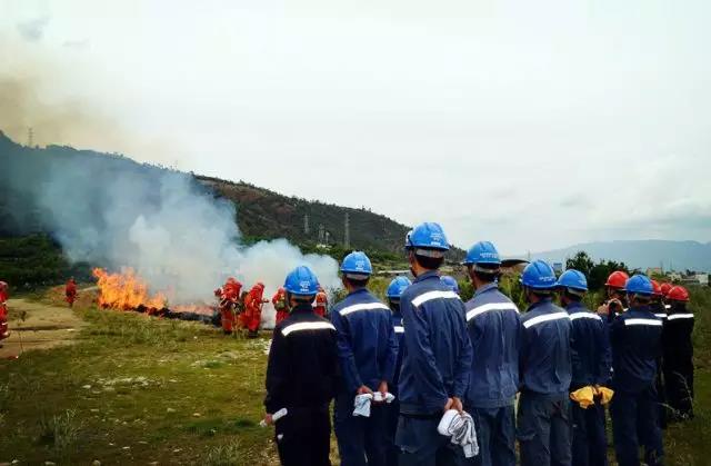 聽(tīng)說(shuō)最近輸電線路和鐵塔“火”啦！