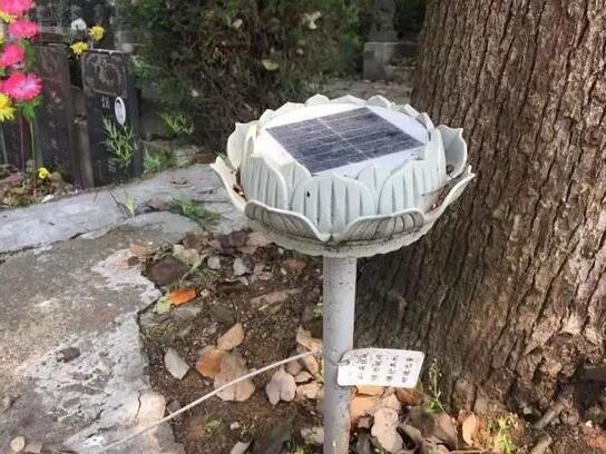 墓地傳來(lái)哭聲 周圍卻沒(méi)有人影 清明節(jié)你被光伏嚇著了嗎？
