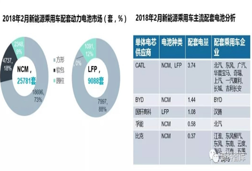 【數(shù)據(jù)】2018新能源乘用車及動(dòng)力電池市場(chǎng)分析
