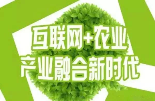 互聯(lián)網(wǎng)+農(nóng)業(yè)，6大創(chuàng)業(yè)方向是…