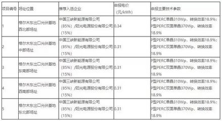 18家企業(yè)10個(gè)光伏應(yīng)用領(lǐng)跑基地中標(biāo)情況