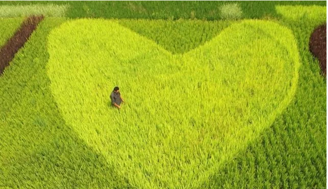 互聯(lián)網(wǎng)給農(nóng)民農(nóng)業(yè)帶來了什么？本文告訴你！