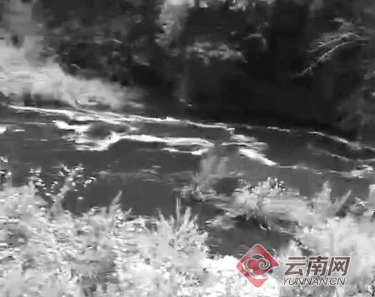 云南麗江部分水體變黑臭并有牲畜尸體，環(huán)保局：水閘放水引起