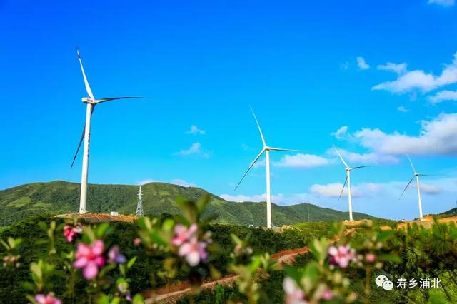 好一個龐然大物！欽州這個風電站建成這樣啦！
