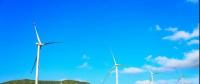 好一個龐然大物！欽州這個風電站建成這樣啦！