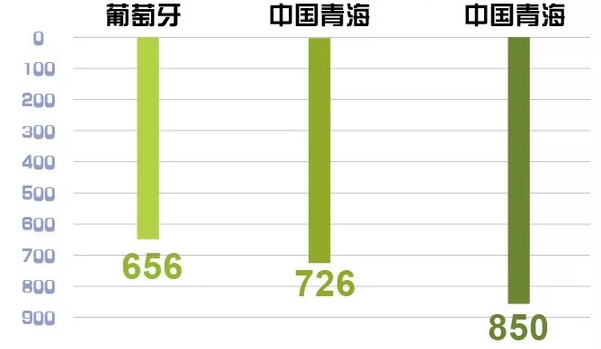 世界罕見｜剛剛 這個省不用火電了！