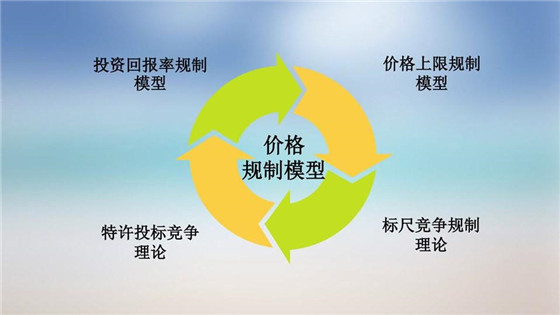 我國(guó)電力價(jià)格規(guī)制現(xiàn)狀、存在的問(wèn)題及原因分析