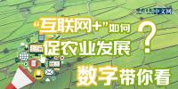 “互聯(lián)網(wǎng)+”如何促農(nóng)業(yè)發(fā)展？<font color=