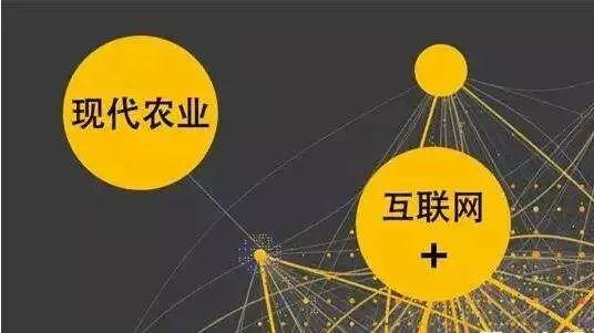 顛覆！裂變！賦能！互聯(lián)網(wǎng)+農(nóng)業(yè)領域的“豬飛起來了”