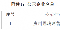 貴州公示1家新注冊(cè)的售電公司