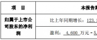 隆基、晶科齊發(fā)聲 “531”利大于弊？