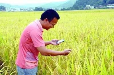 國務(wù)院常務(wù)會(huì)議鼓勵(lì)的“互聯(lián)網(wǎng)+農(nóng)業(yè)”創(chuàng)新手段，幫你找到了案例