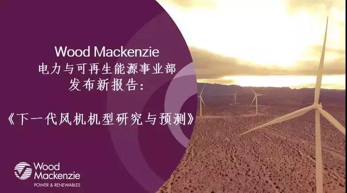 12-15MW+！歐洲“零補(bǔ)貼”海上風(fēng)場(chǎng)項(xiàng)目開(kāi)發(fā)主要選型