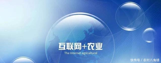 互聯(lián)網(wǎng)+農(nóng)業(yè)”發(fā)展再添引擎 手機(jī)將成農(nóng)民“新農(nóng)具”