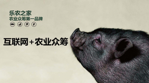 互聯(lián)網(wǎng)+農(nóng)業(yè)眾籌只賺吆喝 利潤全被用戶拿走了？