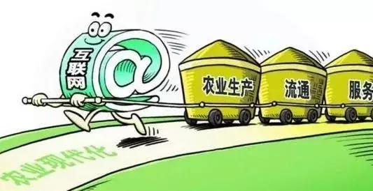 2018年農(nóng)村電商巨頭卡位戰(zhàn)：互聯(lián)網(wǎng)+農(nóng)業(yè)新玩法！