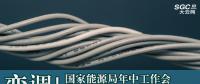 變調(diào)！國家能源局年中工作會透露出5方面變化