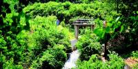 小水電全年不間斷發(fā)電 下游河道常年有水——府澴河流域<font color=