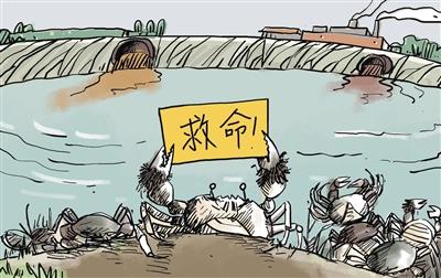 上游污水“毒死”萬(wàn)畝大閘蟹，誰(shuí)擔(dān)其責(zé)？