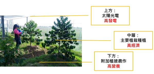 后補(bǔ)貼時(shí)代 “架高、一地多用”助力光伏平價(jià)上網(wǎng)