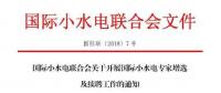 國(guó)際小水電專家增選，最后一周！