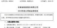 皖能電力:前三季度預(yù)盈逾2.7億元 同比增169%至228%