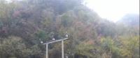 湖北整治關(guān)停100多座小水電站 , 其中宜昌48座、神農(nóng)架林區(qū)21座、恩施20座
