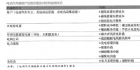 電動汽車儲能,挑戰(zhàn)電網(wǎng)未來?
