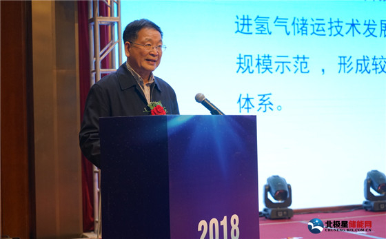 中國能源研究會(huì)副秘書長王凡.jpg