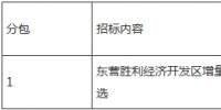 東營勝利經(jīng)濟開發(fā)區(qū)<font color=