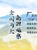 讀圖｜2020政府工作報(bào)告中這些內(nèi)容，和能源電力有關(guān)！