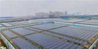 國內(nèi)最大自發(fā)自用平價(jià)上網(wǎng)的屋頂分布式光伏項(xiàng)目全額并網(wǎng)